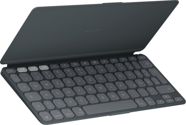 Logitech Logitech Keyboard 920-013004 / Keys-To-Go 2 für iPad Graphite