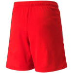 Šortky Puma teamLIGA Jr 704931 01 152CM