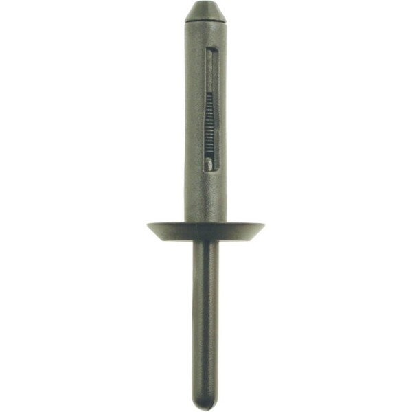 Plastové nity pre Ford, balenie 10 ks KS Tools 420.1276; 420.1276