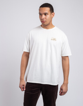 Patagonia M's '73 Skyline Organic T-Shirt Birch White M
