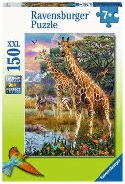 Ravensburger Žirafy a zebry