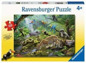 Ravensburger Obyvatelia dažďového pralesa