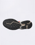 Salomon XT-WHISPER Almilk/Ftw Silver/Lava F 43 1/3
