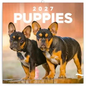 NOTIQUE Poznámkový kalendář Štěňata 2027, 30 x 30 cm (PGP-36320-V)