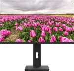 V7 23.8IN HT ADJUST MONITOR HDMI