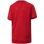 Puma teamGOAL 23 Jersey Jr 704160 01 tričko