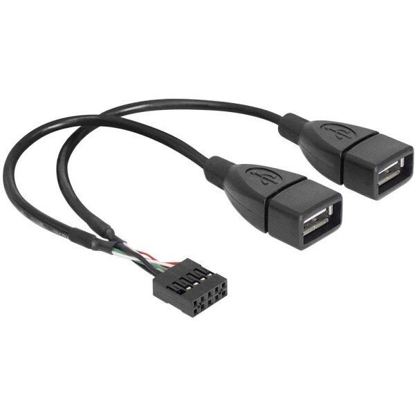 Delock 2x USB 2.0 samica na pinový konektor