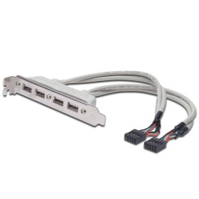 DIGITUS záslepka slotu USB portami kábel 2x 10 Pin 0.25m (AK-300304-002-E)