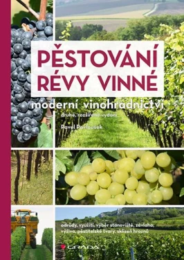 Pěstování révy vinné, Pavloušek Pavel