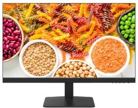 Hikvision DS-D5024F2-1V2S Monitor Hikvision