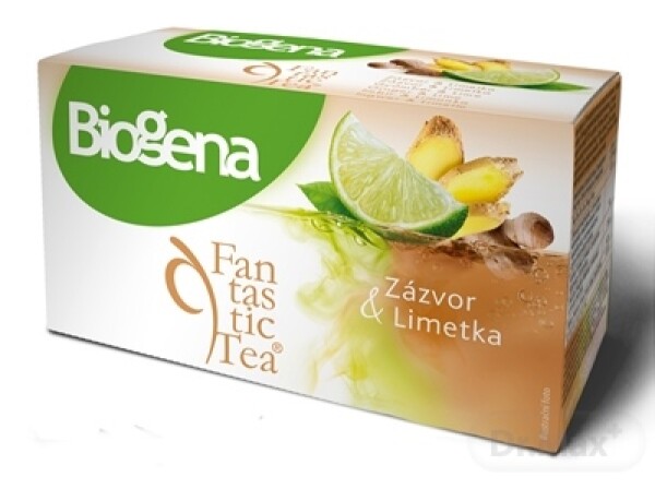 Biogena Fantastic Tea Zázvor & Limetka