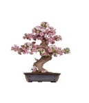 Robotime 3D drevená skladačka Bonsaj sakura