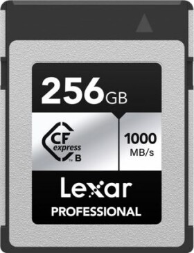 Lexar Professional Silver CFexpress 256 GB (LCXEXSL256G-RNENG)