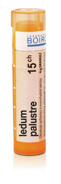 LEDUM PALUSTRE 15CH granule 4 g