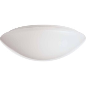 RIDI 420780 420780 LED stropné svietidlo LED biela; 420780