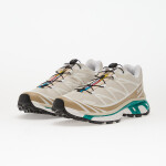 Tenisky Salomon XT-6 Rainy Day/ Chinchilla/ Dygn EUR 46 2/3