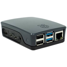 Raspberry Raspberry Pi