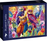 BlueBird Puzzle Sovie samospráva