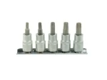 GEKO Sada bitov TORX 5ks / 3/8" / T25-T50 (G13560)