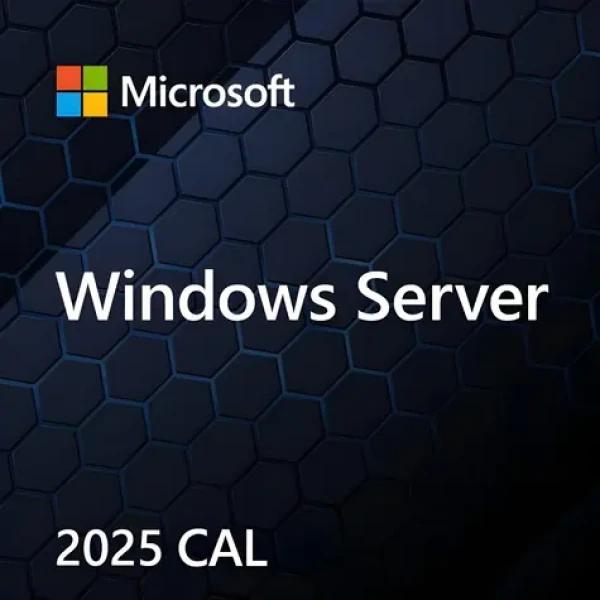 MS Windows Server CAL 2025 / Prístupová licencia / 1 CAL (EP2-25286)