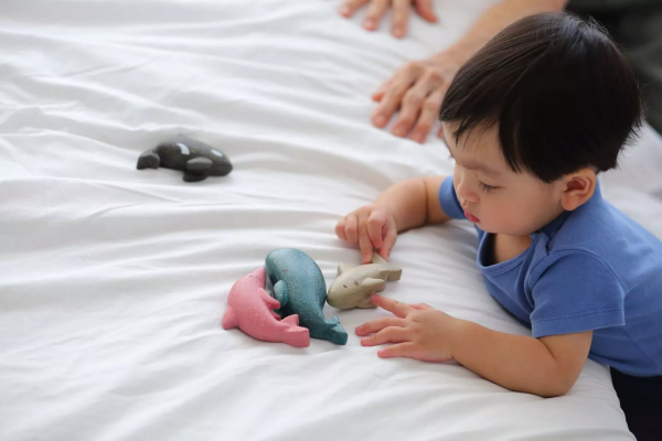 PlanToys PlanToys Set - Morské zvieratá