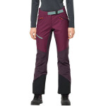 Dámske lyžiarske nohavice Jack Wolfskin Alpspitze Pants W 1507531-1014 40