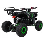 Mamido Detská benzínová štvorkolka RamiGO WILDPEAK 110CC čierno-zelená
