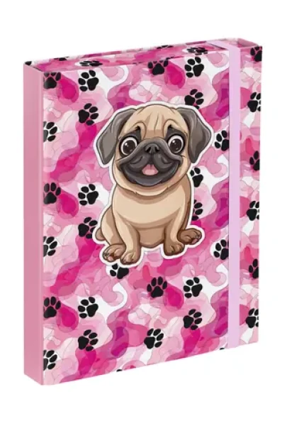 BAAGL Dosky na školské zošity A5 Labky / 17 x 23 x 3 cm (A-34960)