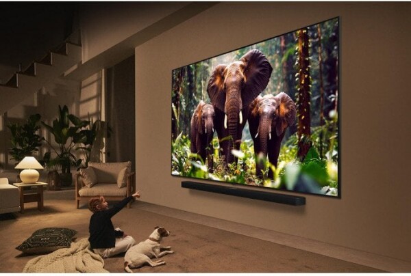 LG LG 65QNED85A6C.AEU