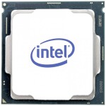 Intel Intel 300 3.9 GHz