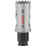 Bosch Home and Garden 2608594372 2608594372 vŕtacia korunka 25 mm 1 ks; 2608594372