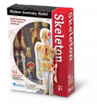 Learning Resources Learning Resources Anatomický model ľudskej kostry