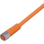 Ifm Electronic EVT135 prívodný kábel , EVT135, piny: 4, 5 m, 1 ks; EVT135