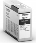 Epson Wkład atramentowy UltrachrómeHD Photo Black (C13T850100)