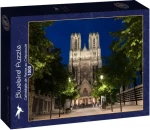 BlueBird Puzzle Katedrála v Remeši za súmraku