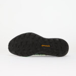Tenisky adidas TERREX Agravic GTX 2 Aurora Coffee/ Core Black/ Pulse Mint EUR 42 2/3