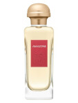 Hermes Amazone - EDT 100 ml