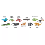 Safari Ltd. Safari Ltd. Tuba - Život v pralese