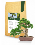 Symbiom mykorhízne huby Ectovit Bonsai 100 g