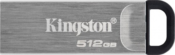 Kingston DTKN/512, 512 GB (DTKN/512GB)