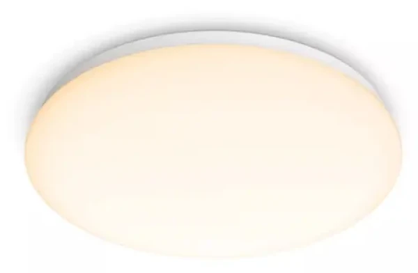 Philips Moire CL200 biele / LED stropné svietidlo / 17W / 1700lm / 2700K / IP20 / 32cm (SKL000319519)