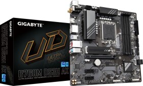 Gigabyte DS3H AX