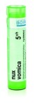 NUX VOMICA 5CH granule 4 g