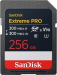 SanDisk Extreme PRO SDXC 256 GB Class 10 UHS-II/U3 V90 (SDSDXDM-256G-GN4IN)