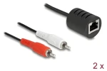 DeLock RJ45 (Bu) - 2x Cinch (St) / Audio adaptér / Plug Play / 2 ks v balení (87857)