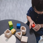 PlanToys PlanToys Geometrická vkladačka