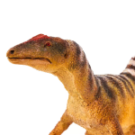 Safari Ltd. Safari Ltd. Figúrka - Concavenator