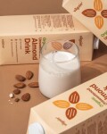 Vilgain Mandľový nápoj BIO – 1 000 ml