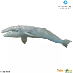 Safari Ltd. Safari Ltd. Plejtvákovec sivý