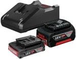 BOSCH 1600A01ZS9 / Štartovacia sada / GBA 18V 4.0Ah + GBA 18V 2.0Ah + GAL 18V-40 / čierna (1600A01ZS9)